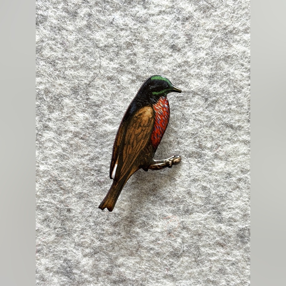 Colorful bird illustration on metal brooch pin